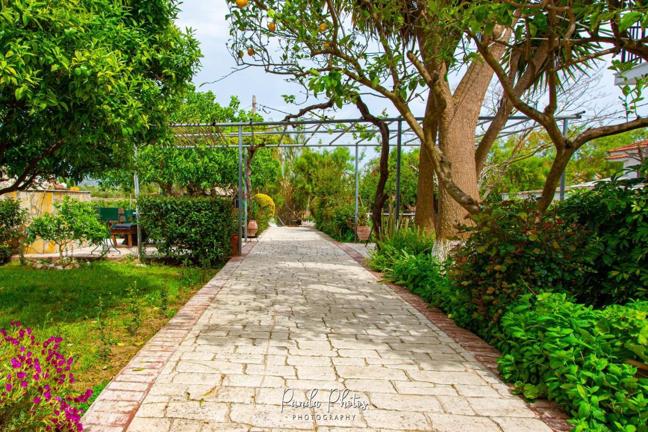 Zante Apts Laganas Dış mekan fotoğraf