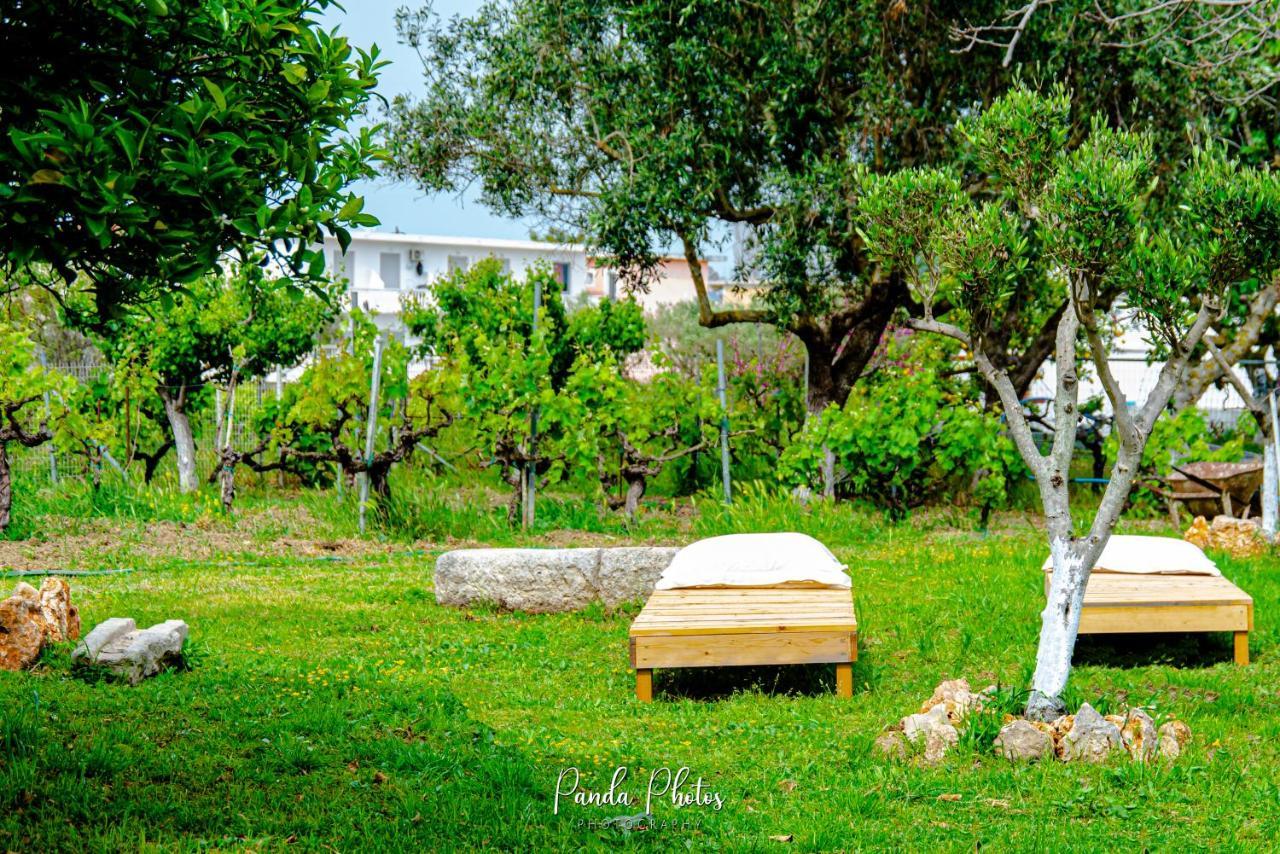 Zante Apts Laganas Dış mekan fotoğraf