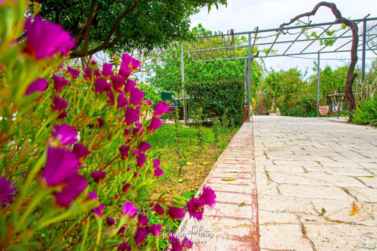 Zante Apts Laganas Dış mekan fotoğraf
